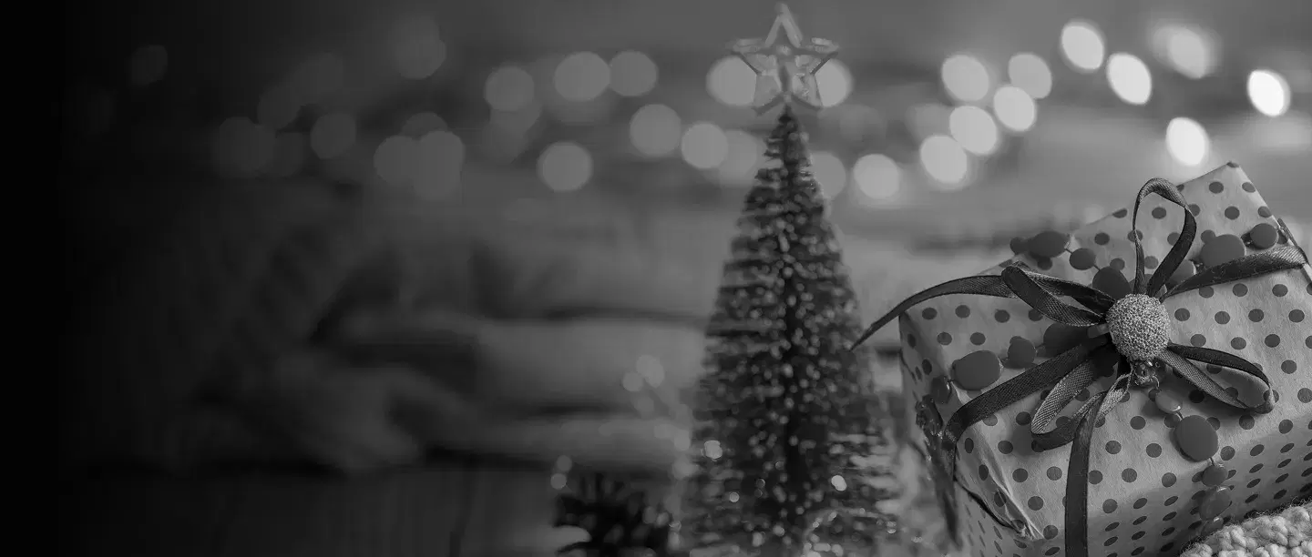 Experience the Magic of Christmas with Accordion Melodies