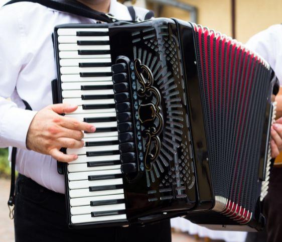 03db1066-0209-4df2-ba84-ce7f7b0042c9-Step-by-Step Lessons for Beginners.jpg