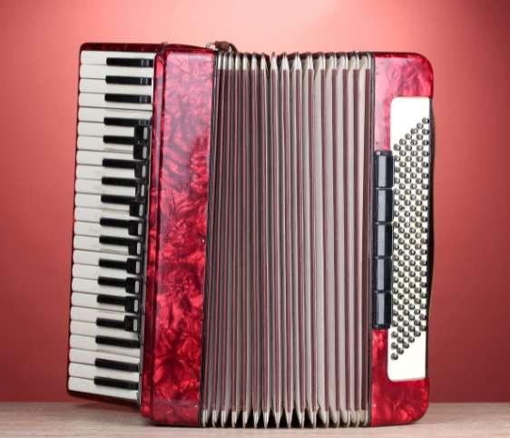 6a50e9d3-97eb-4ab3-8890-630b6966707e-Understanding Bellows in Accordions.jpg