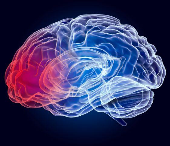 b5392ddd-5117-4c56-8b71-09b5e99c0d69-Accordions and Memory.jpg