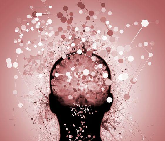 e20e63e3-c107-4083-b261-edb7e51906a4-The Impact of Accordion Music on the Brain.jpg