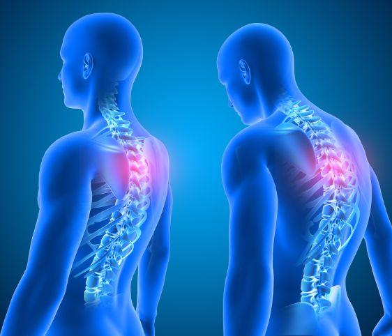 e2a2b68f-f8fb-49f4-9ac7-b7a759b36183-Postural Health and Safety for Accordion Players.jpg